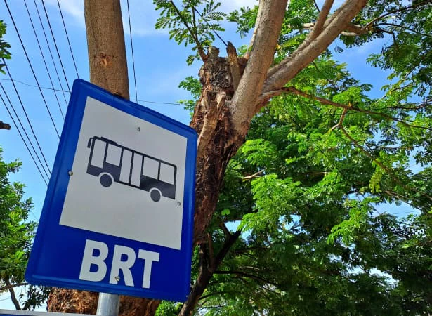 BRT City bus