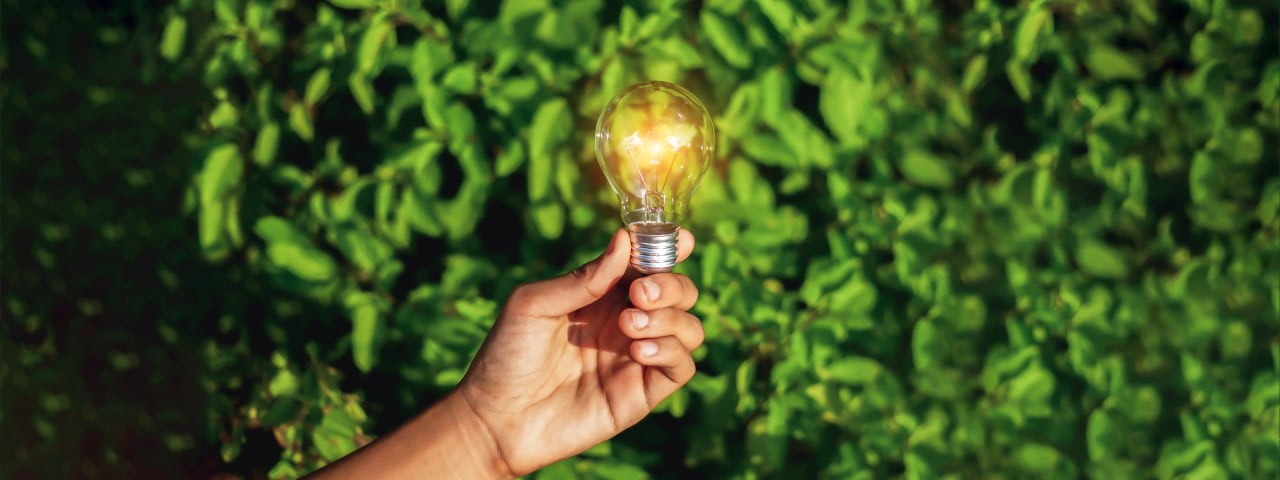 Environmental responsibility