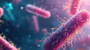 AMR Leadersโ Summit New