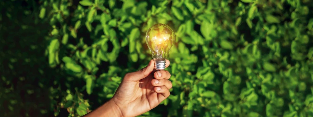 Hand holding a lightbulb